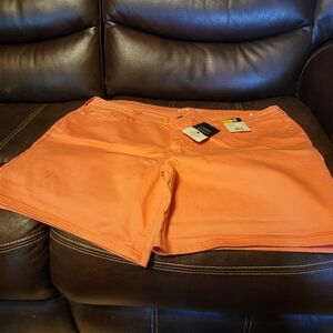 Women's Plus Shorts